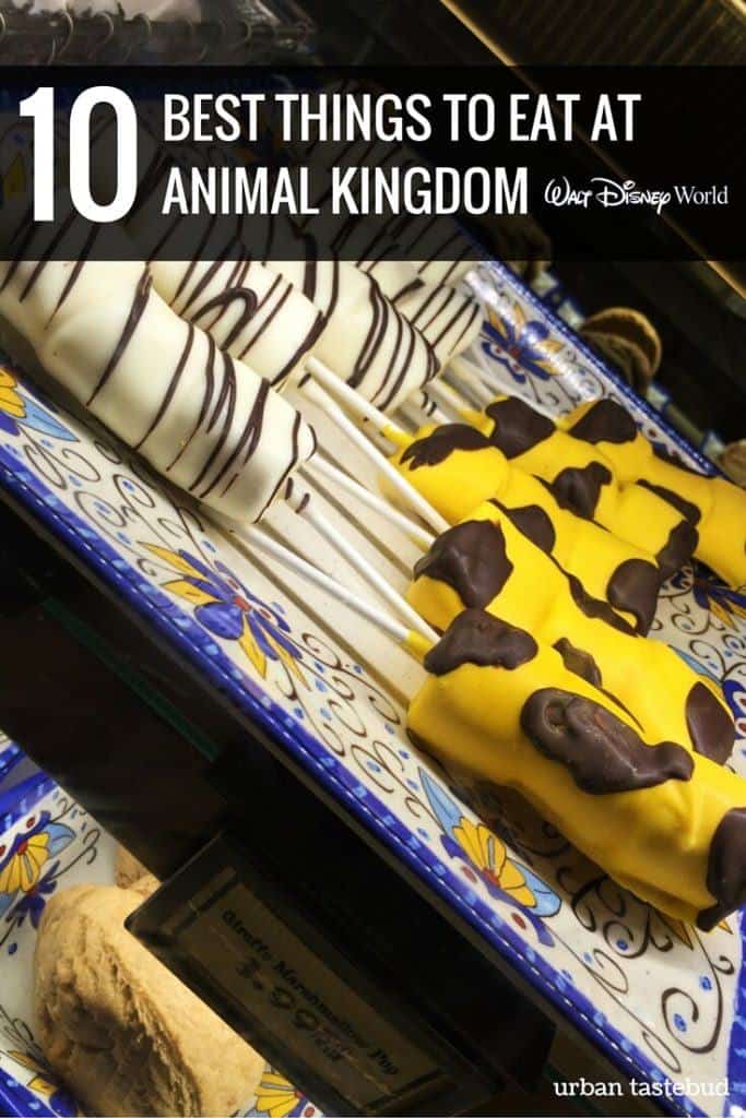 Best Things to Eat at Animal Kingdom