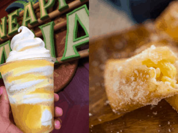 Best Disney World Pineapple Snacks