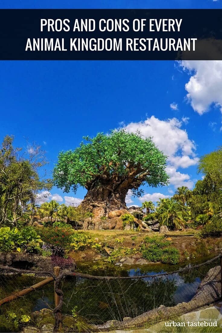Pros and Cons of Every Animal Kingdom Restaurant
