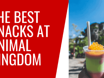 Best Snacks at Animal Kingdom