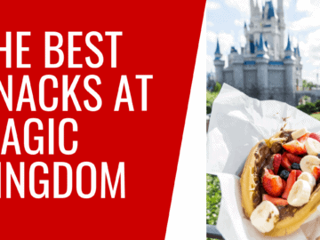 Best Snacks at Magic Kingdom