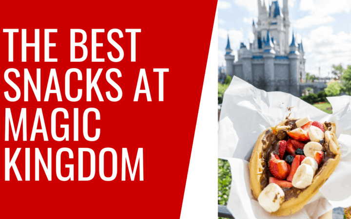 Best Snacks at Magic Kingdom