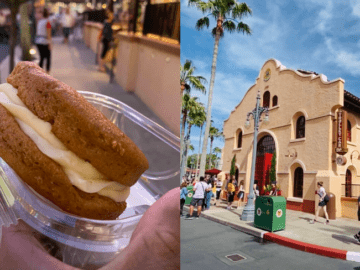 Carrot Cake Cookie Hollywood Studios