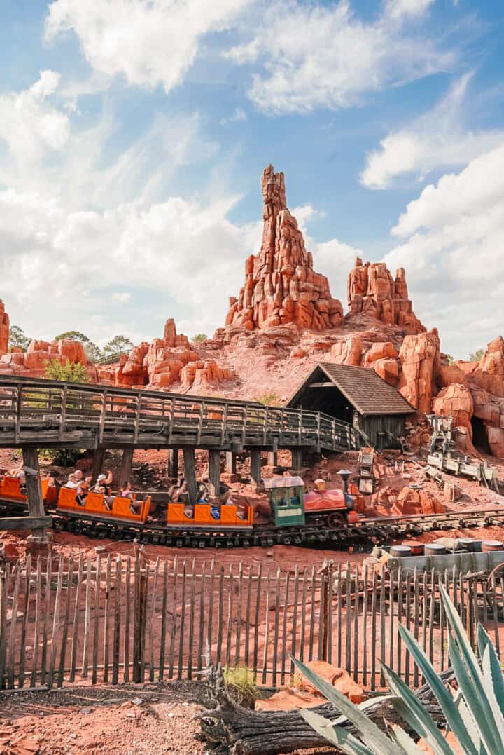 Top 10 Fastest Rides at Disney World