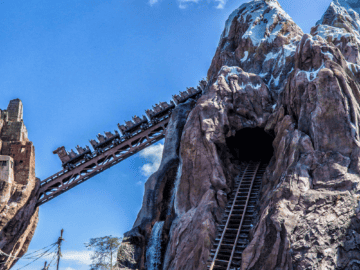 Best Animal Kingdom Rides for Adults