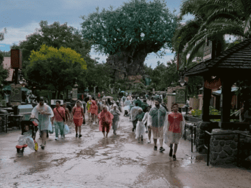 Disney World Attractions that Close When it Rains or Storms