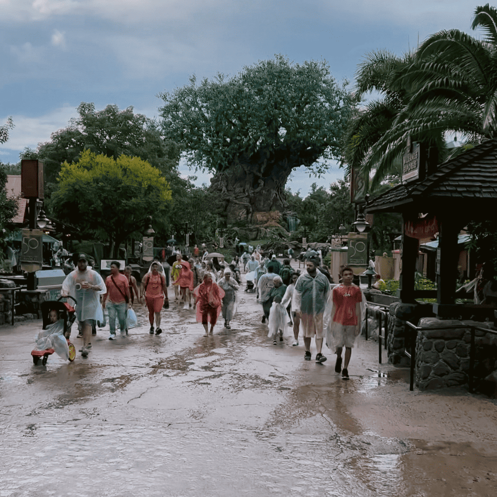 Disney World Attractions that Close When it Rains or Storms