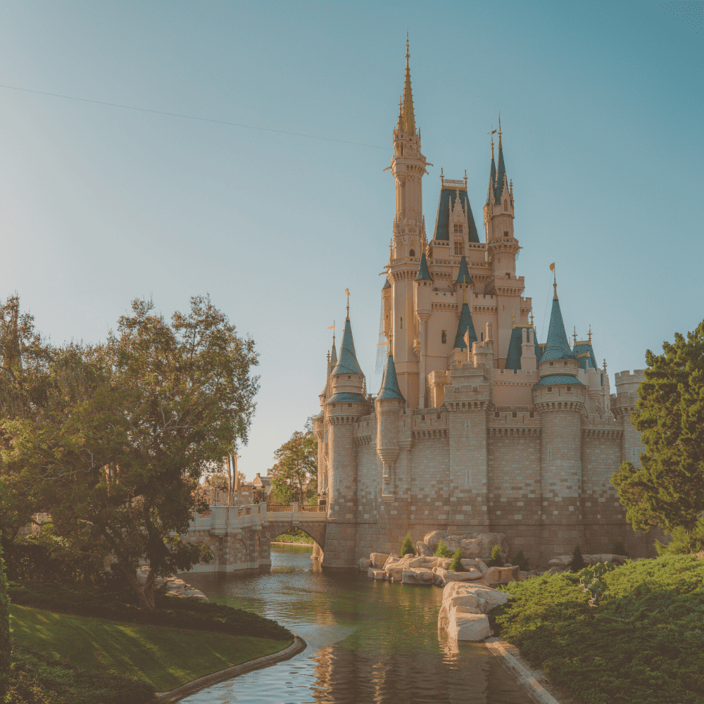 How much is Disney World tickets per person?