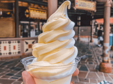 Soft Serve Ice Cream Magic Kingdom