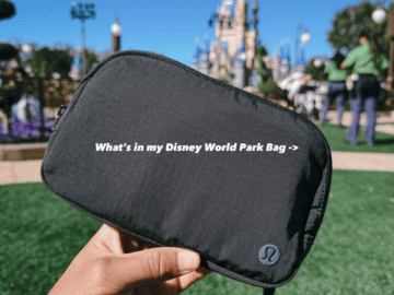 Best Disney World park bag
