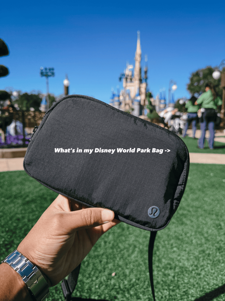 Best Disney World park bag